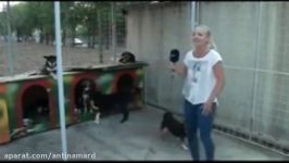 سوتی خفن خنده دار دختر گزارشگر در پخش زنده اخبار