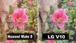 Huawei Mate 8 VS LG V10 Camera Revie