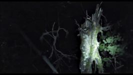 اولین تریلر رسمی فیلم ترسناک Blair Witch