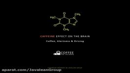 تاثیرات کافئین Caffeine Impact Driving