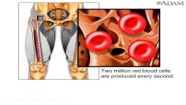تولید گلبول قرمز خون