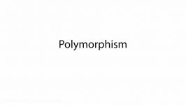 07. Polymorphism