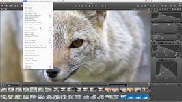 Capture One 6  Workspace