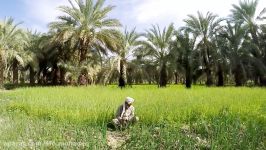 ایرانگردی  بلوچستان آنچه فکر میکنید سبز تر است