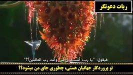 سبحان الله چه خالق مهربانی داریم...زیر نویس فارسی