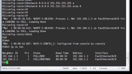 d0017 Ccnp OSPF DR BDR Election