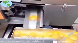 دستگاه جدا سازی سفیده تخمرغ زردی تخمرغ