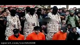 اعدام درون گروهی داعش به جرم جاسوسی توسط خودشان سوریه