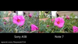 مقایسه دوربین Galaxy Note 7 Vs DSLR Sony A58