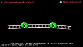 NGS  Next generation sequencing