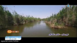 تالاب شادگان خوزستان