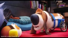 تریلر انیمیشن The Secret Life of Pets 2016  گیمر