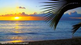 HAWAIIAN MUSIC ALOHA + Hawaii Musik Song Relaxing