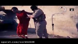 اعدام جدید داعش بخاطر نوشتن حرفم روی دیوار موصل سوریه