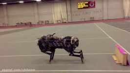 روبات چیتا یوزپلنگ chitah robot