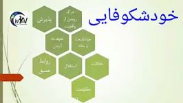 نظریه کل نگر  پویش آبراهام مزلو