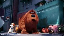 انیمیشن The Secret Life of Pets 2016 دوبله فارسی