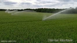 Irrigation dune production de semences de maïs hybride