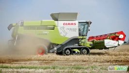 برداشت گندم توسط کمباین Claas Lexion 780 TT