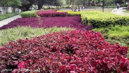 بررسی دوربین شائومی ردمی پرو