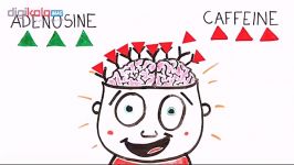 قهوه چه تاثیری روی مغز انسان می گذارد؟