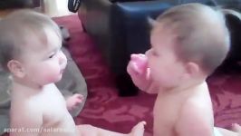 دعوای بشدت خنده دار دو کودک دوقلوی تپلی سر پستانک