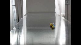 استفاده رباتهای هوشمند ساخت پنیوماتیک فستو در خط تولید بسته بندی Tripod