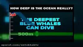 فیلمعمق اقیانوس آرام چقدر است؟