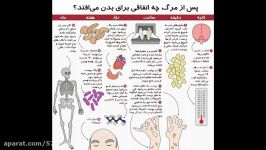 پس مرگ چه اتفاقی برای بدن می افتد؟