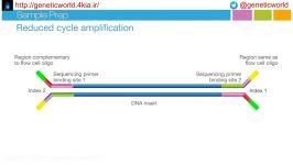 NGS  Next generation sequencing