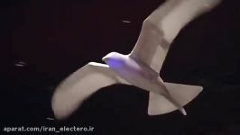 ربات پرنده شبیه پرنده ها پرواز میکند