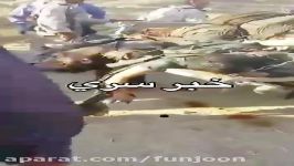 نخستین ویدیو عملیات ضد تروریستی سپاه ، تیپ امیرالمون
