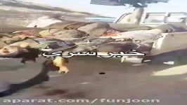 عملیات ضد تروریستی سپاه پاسداران در کرمانشاه ۱۴مهر95