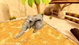 PetWorld WildLife Africa TRAILER