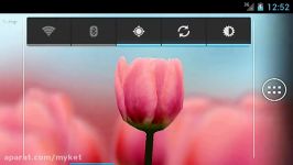 3D Tulip Live Wallpaper Free