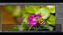 آموزش گالری Blur محوشدگی در فتوشاپ CS6 فیلتر Field Blur