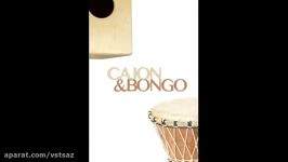 دانلود رایگان وی اس تی 8Dio Cajon and Bongo