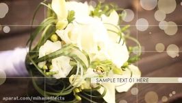 پروژه افترافکت WEDDING SLIDESHOW