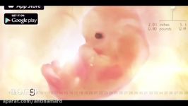 مراحل رشد جنین انسان تا 40 هفتگی رادیولوژی رنگی