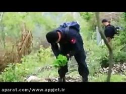 نابودی مزارع ماری جوآنا به دست پلیس + فیلم