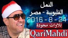 النمل  محمد المهدى شرف الدین  قلیوبیة  مصر 8  2016