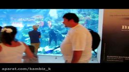 بزرگترین آکواریم دنیا Dubai Aquarium