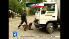    Iranian police dogs highly trained. سگهای تربیت شده پلیس ایران   