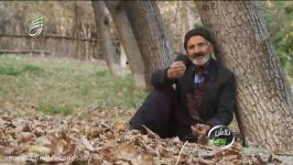 کاشت نگهداری درخت گردو  برنامه تلویزیونی تلاش سبز