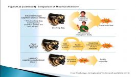  Psychology 101 Theories of Emotion 