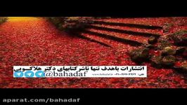 ‫دکتر هلاکویی ‫نامزدم حاضر نیست فعلا رازهای زندگی اش