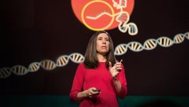  What you need to know about CRISPR  Ellen Jorgensen 