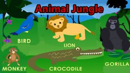 Animals Jungle Animation Learning Flashcards Find + Count Preschool and Kinde