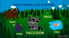 Learning Animals and Plants In The Forest For Kids Flashcards Find + Count Ed