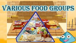 Food Pyramid The 5 Different Food Groups Learn the Healthy
